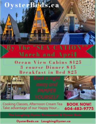 Promotional flyer for Oyster Bay cabins with rates, activities, and booking information.